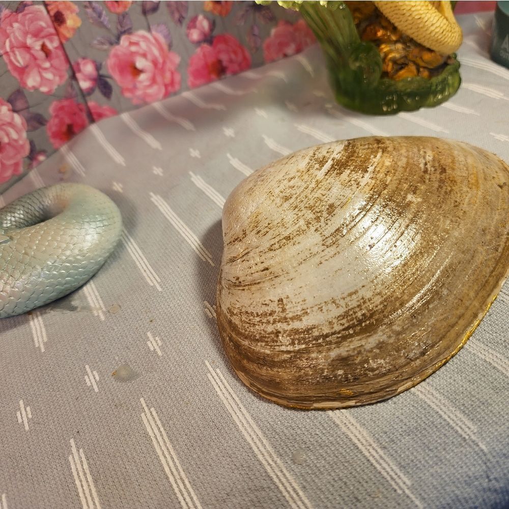 DECOUPAGE CLAM SHELL DECOUPAGE BLUE DESIGN TRINKET DISH - Picture 11 of 13